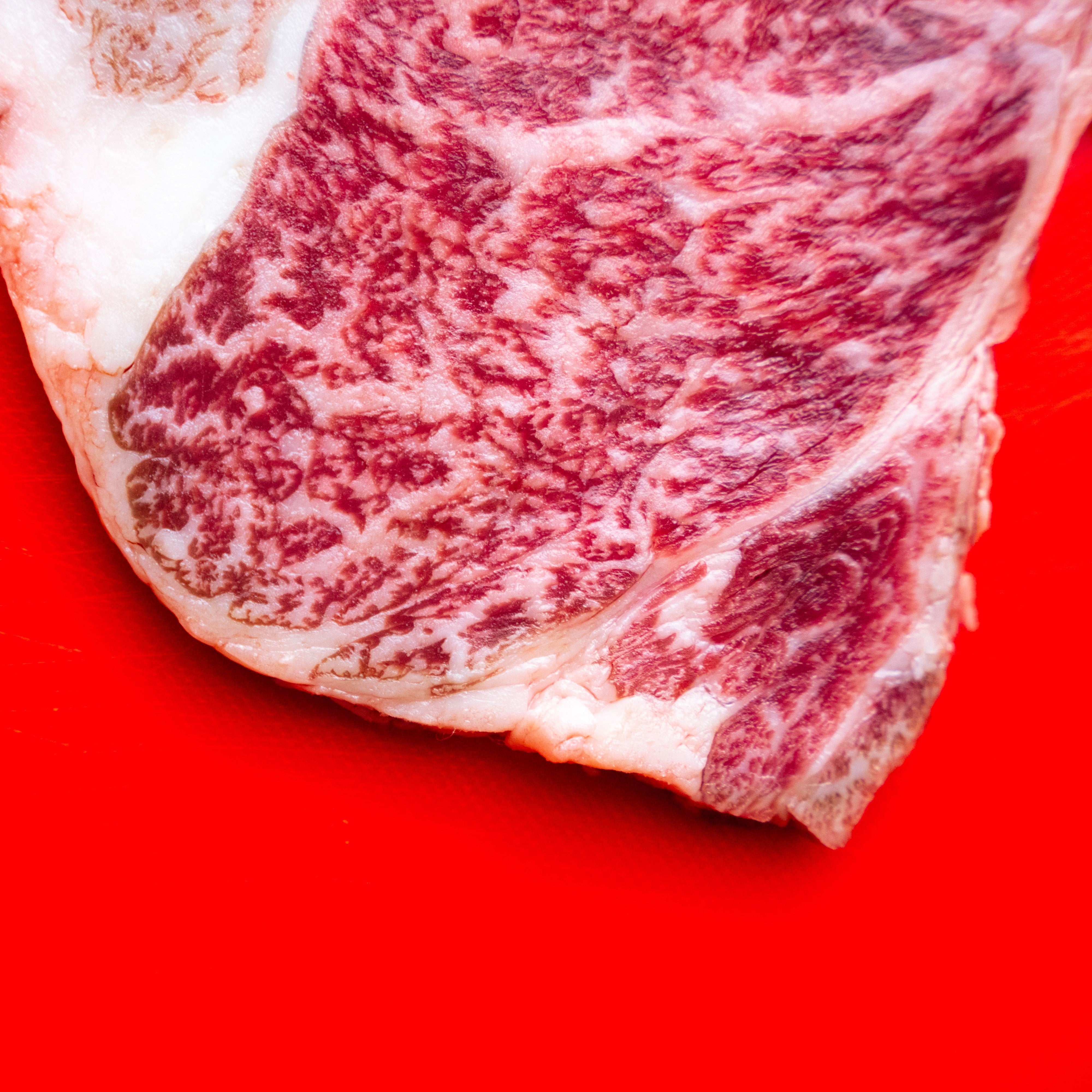 Wagyu Ribeye A5 BMS 9_foto